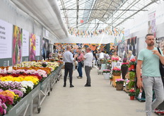 Ondanks de hitte drukke dagen